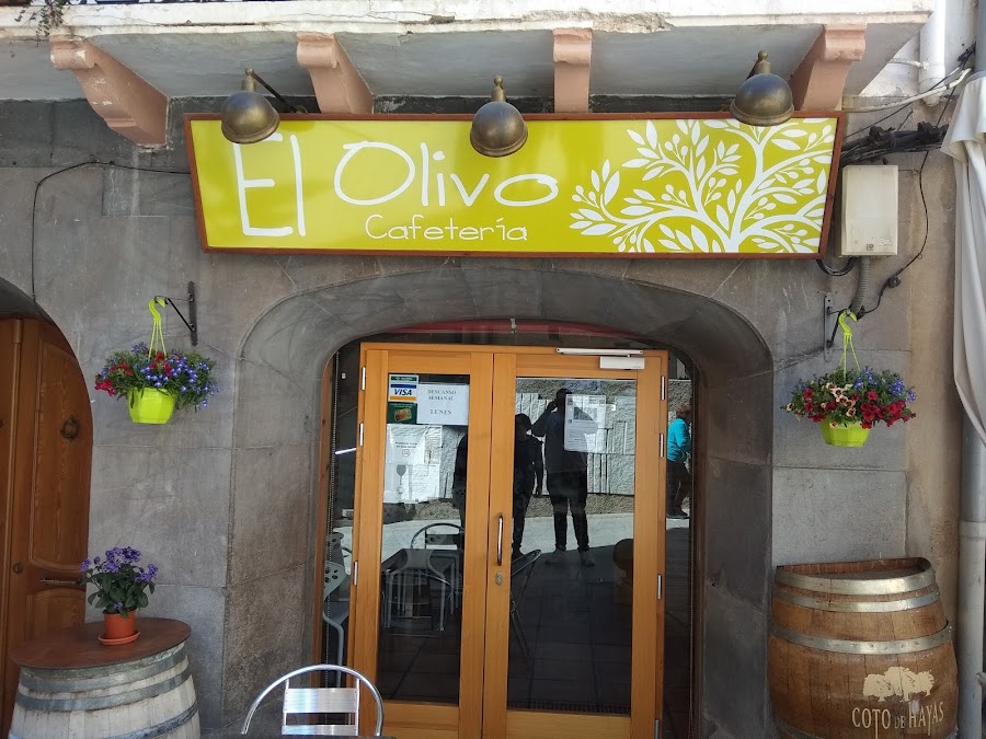 Bar el Olivo