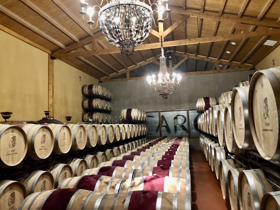 Bodegas Care