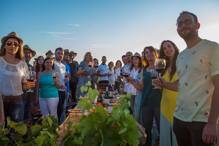 Bodegas San Alejandro