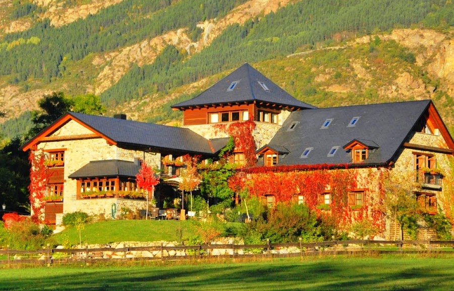 HOTEL SELBA D