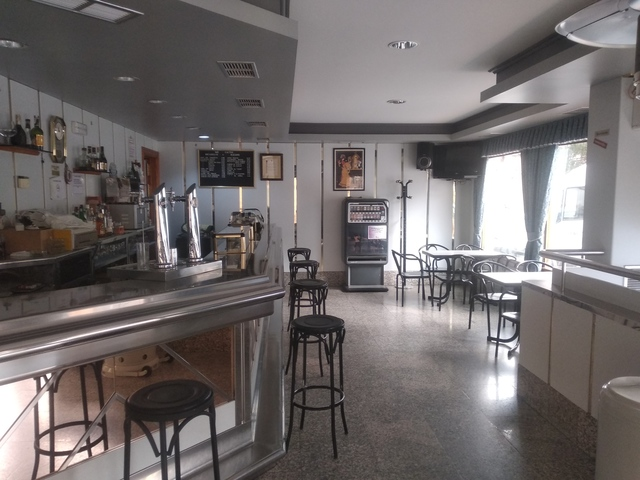Bar Cactus