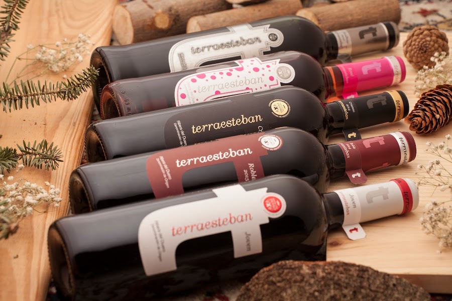 BODEGAS Y VIÑEDOS ACEÑA (TERRAESTEBAN)