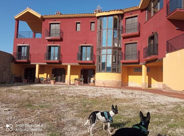 Casa Arrieta