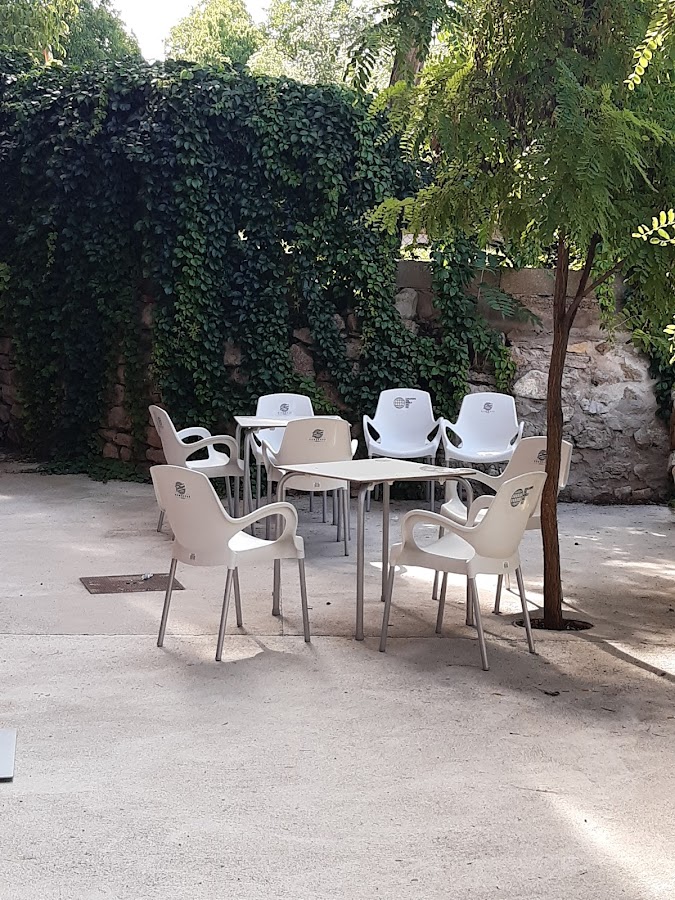 MSR MultiServicio RURAL La Rambla JORCAS.